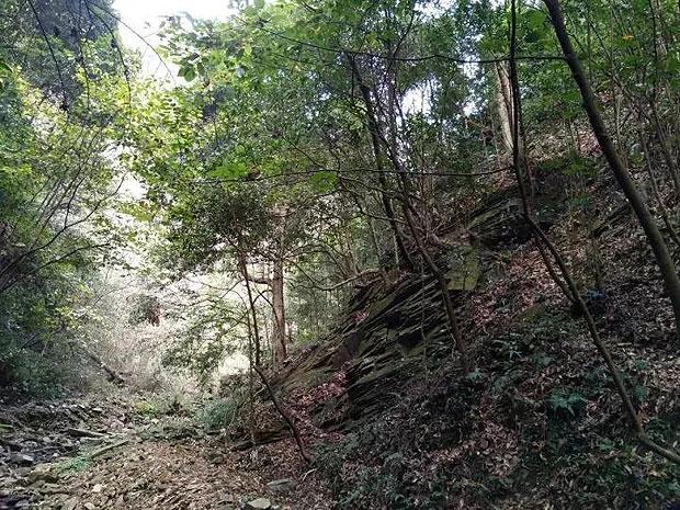 俄罗斯总统普京参加列宁格勒保卫战胜利80周年纪念仪式